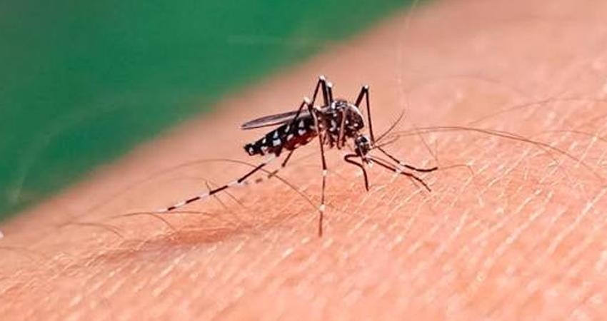 Dengue disminuye más de 30%, pero podría repuntar en 2027