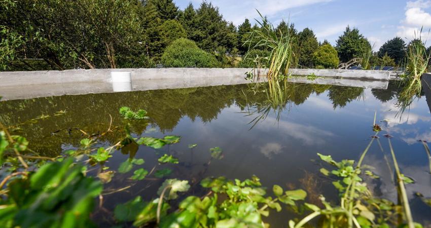Gobierno de México impulsa nueva ley ambiental tras casi cuarenta años debido a la crisis climática