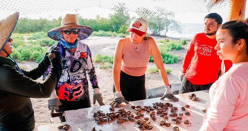 Milena Quiroga: “todo el respaldo a las mujeres del mar en Baja California Sur”