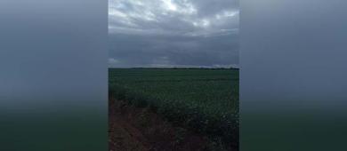Modificará programa de sequía; recursos se destinarán a siembra en ranchos de BCS