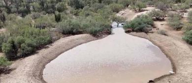 Ollas de captación siguen dando resultados y fortalecen la disponibilidad de agua en comunidades rurales de La Paz