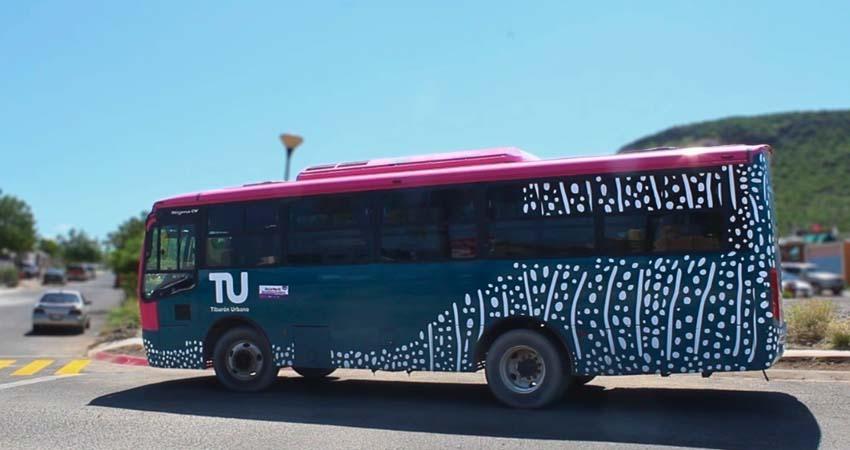 Tiburón Urbano mantiene operatividad durante las lluvias