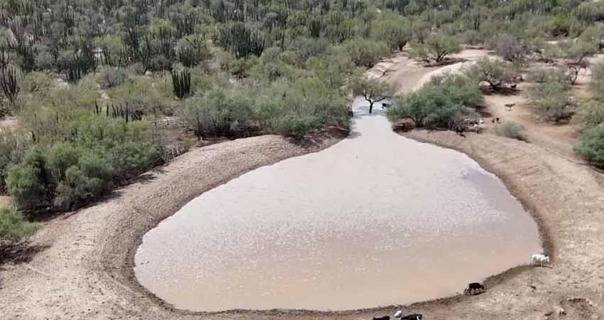 Ollas de captación siguen dando resultados y fortalecen la disponibilidad de agua en comunidades rurales de La Paz
