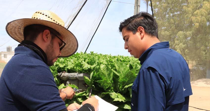 UABCS y CIBNOR impulsan el emprendimiento científico en los sistemas agroalimentarios