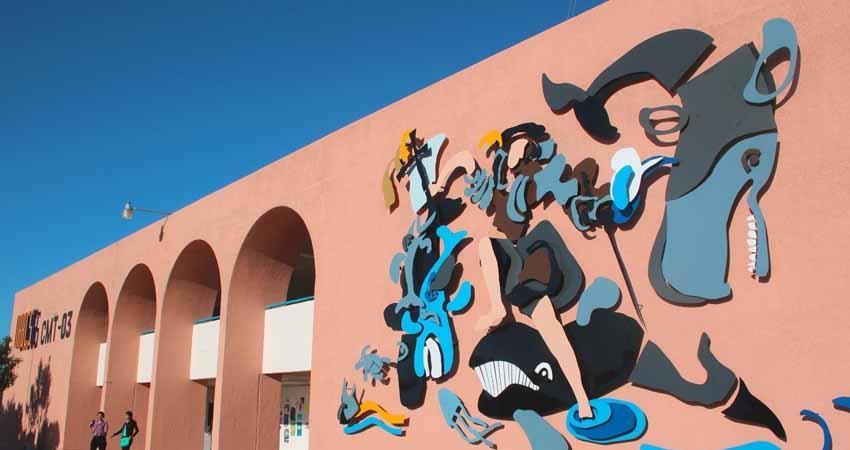 Abre la UABCS convocatoria de admisión 2027-I para la Licenciatura en Biología Marina