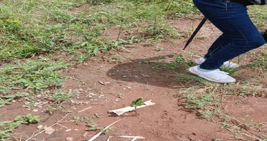 Gobierno federal pide verificar hallazgo de presunto campo de exterminio en Nayarit