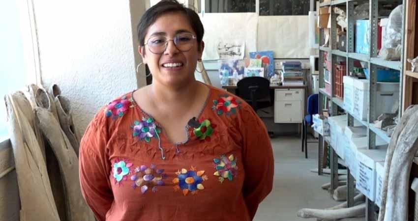 Investigación sobre ballenas fósiles de Baja California Sur obtiene el primer Premio INAH de Paleontología