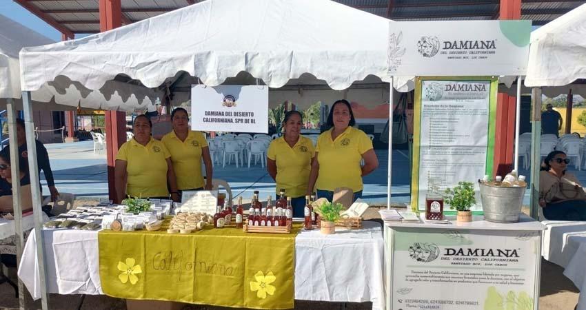 Mujeres rurales de Baja California Sur: protagonistas de la economía y el bienestar comunitario