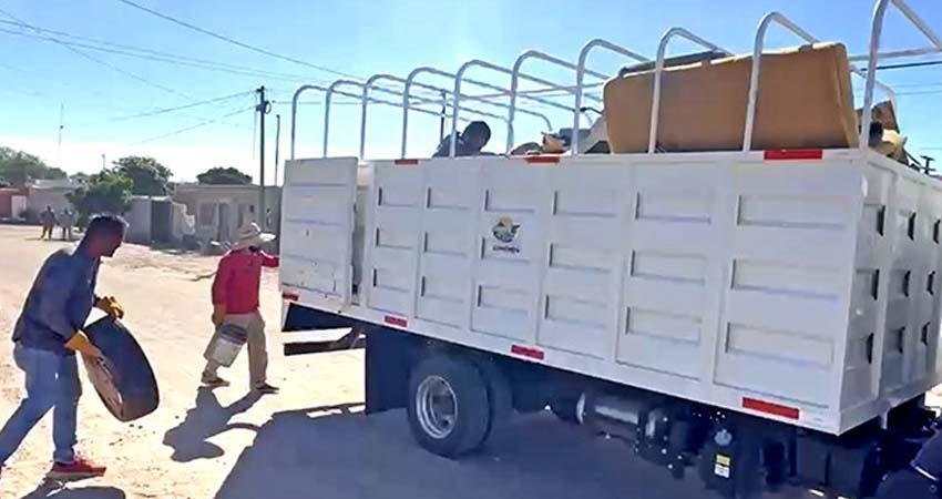 Promueve Salud la eliminación de criaderos del dengue en Ciudad Constitución