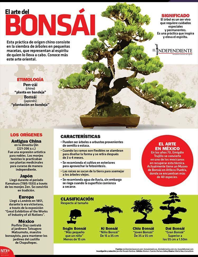 Bonsai