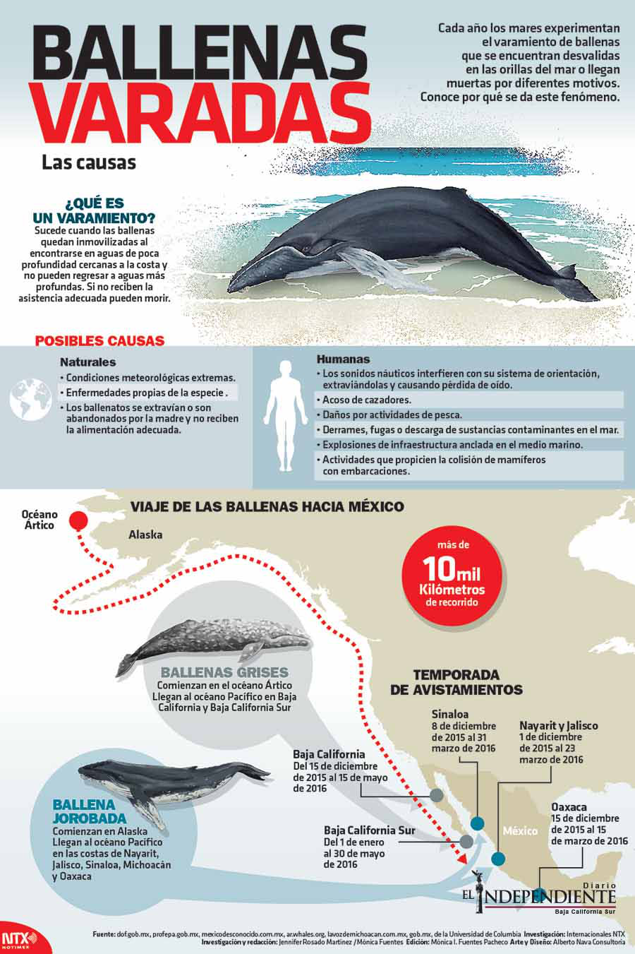 Ballenas varadas
