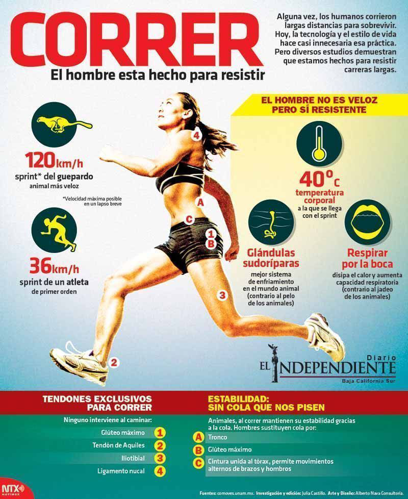 Correr el hombre esta hecho para resistir