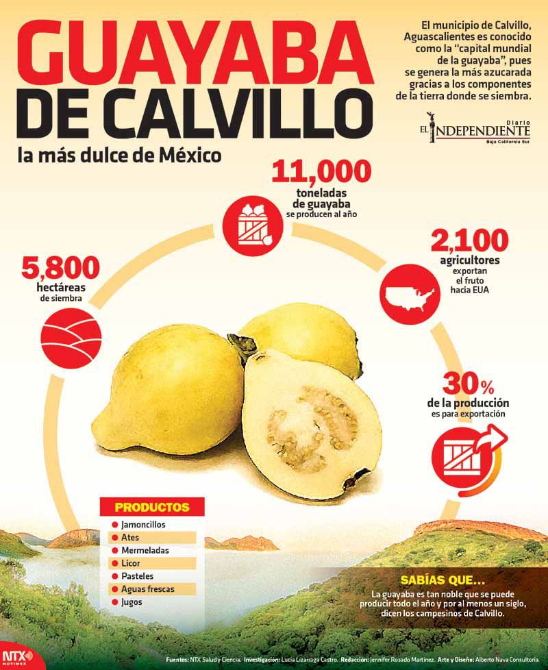 Guayaba de calvillo