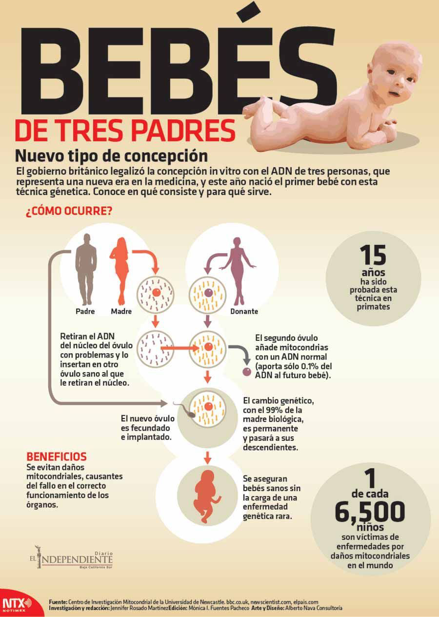 Bebes de tres padres