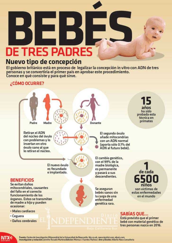 Bebés de tres padres