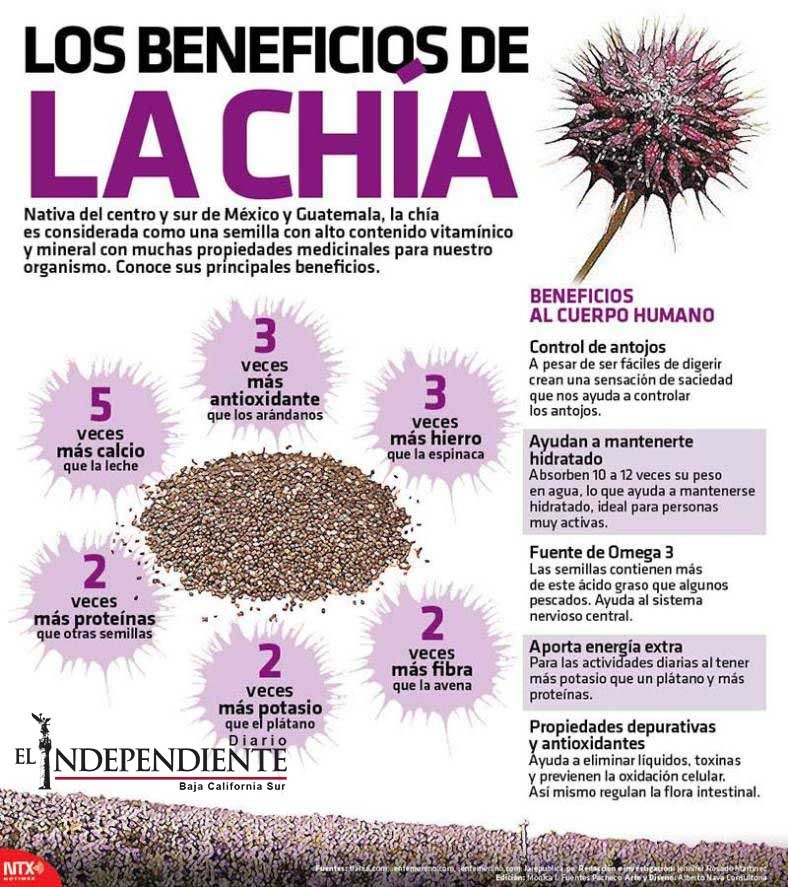 Los beneficios de la chia