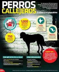 Perros callejeros