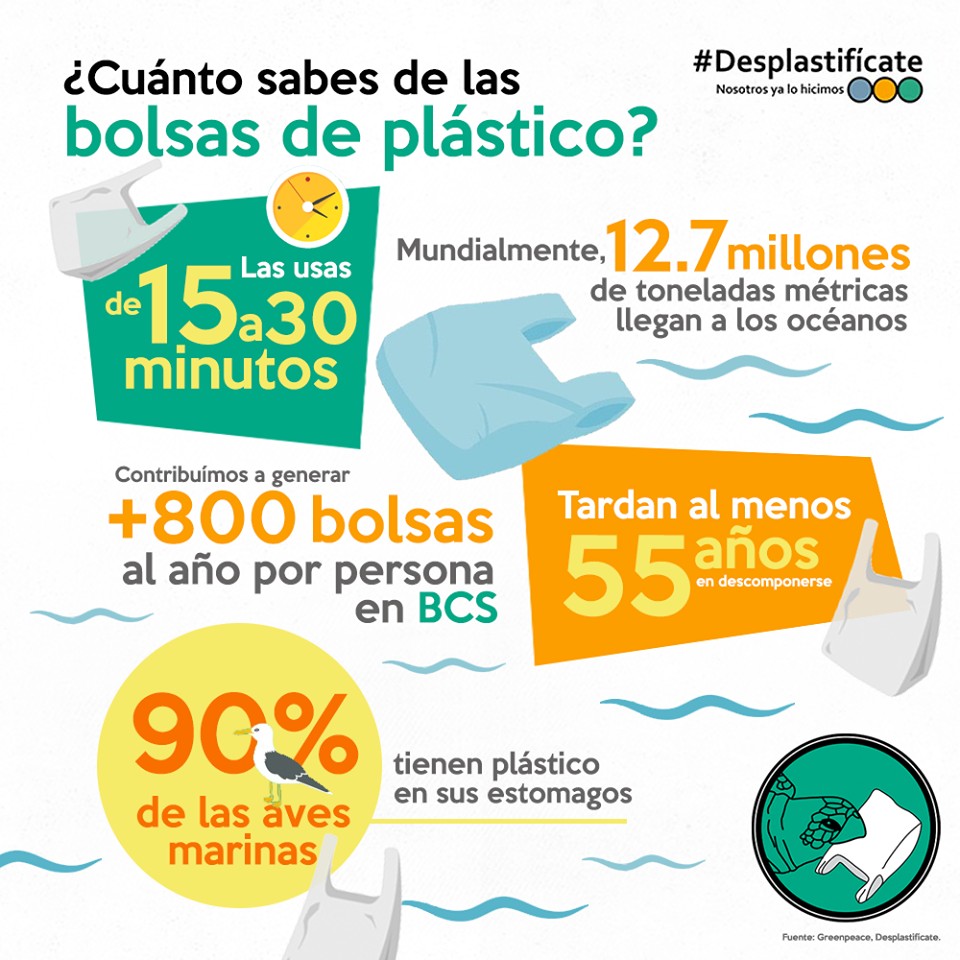 ¿Cuánto sabes de las bolsas de plásticos?