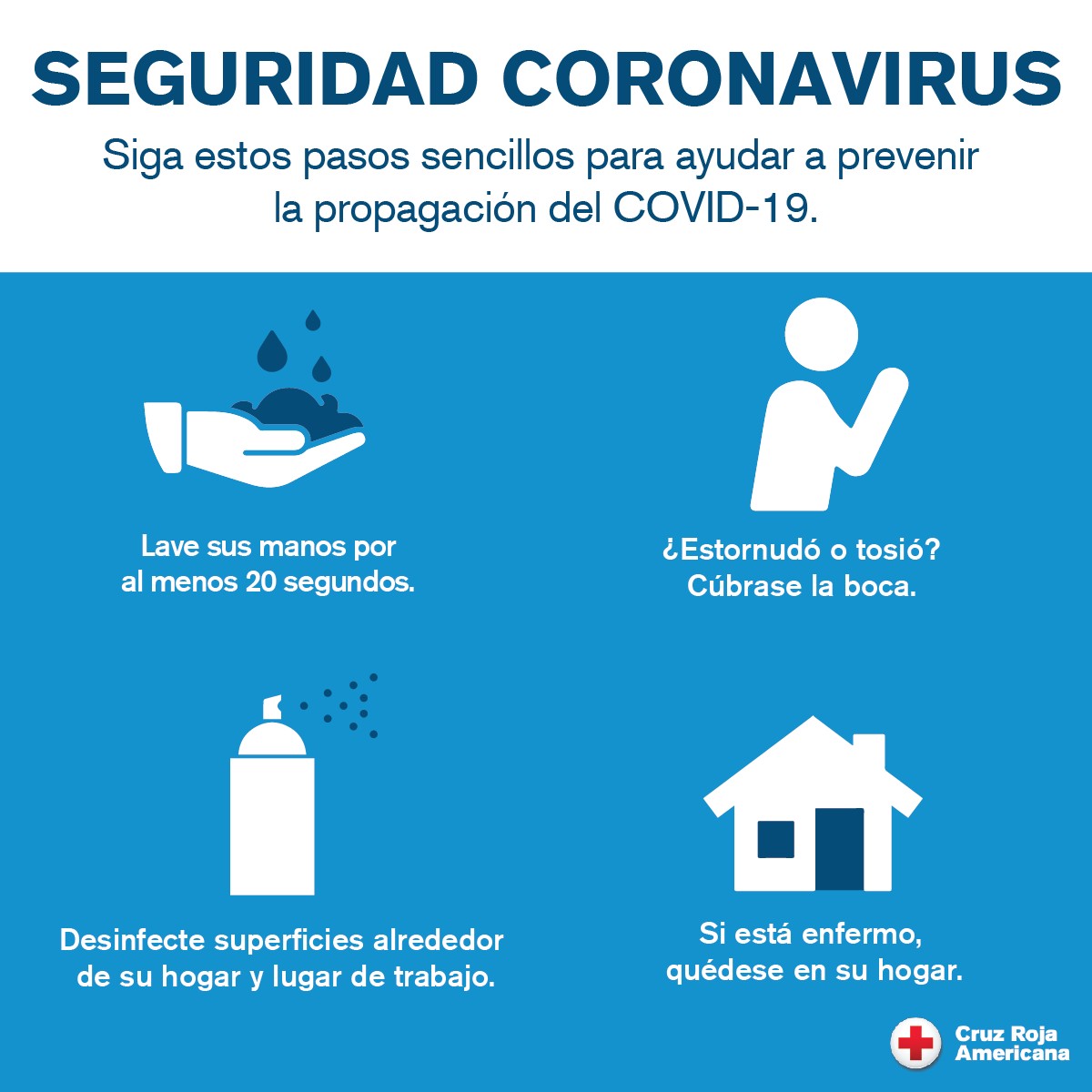 SEGURIDAD CORONAVIRUS