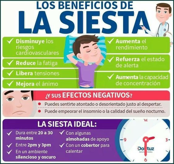 Los beneficios de la siesta.