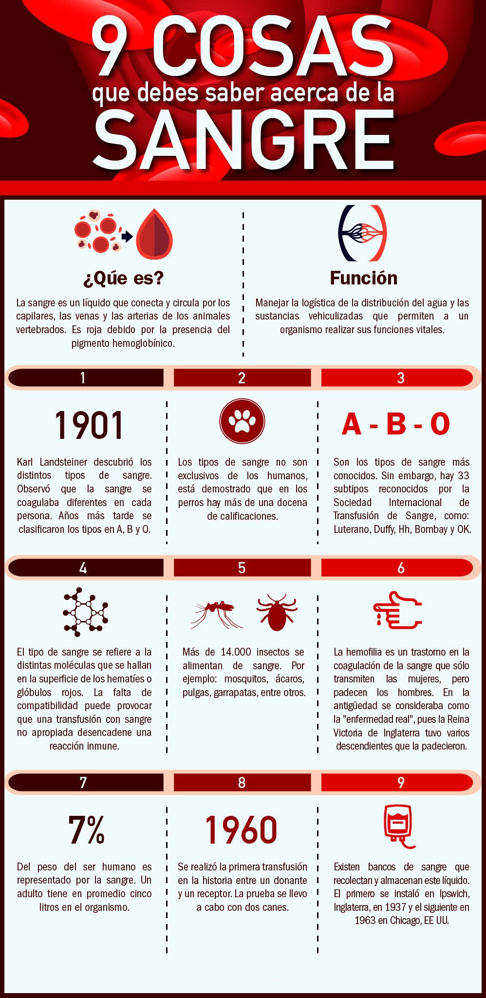 9 COSAS QUE DEBES SABER DE LA SANGRE