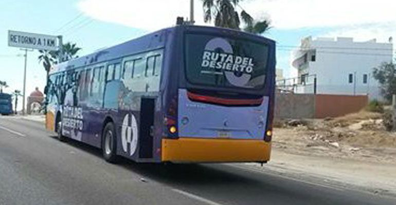 Persisten quejas de ciudadanos contra choferes del transporte público 