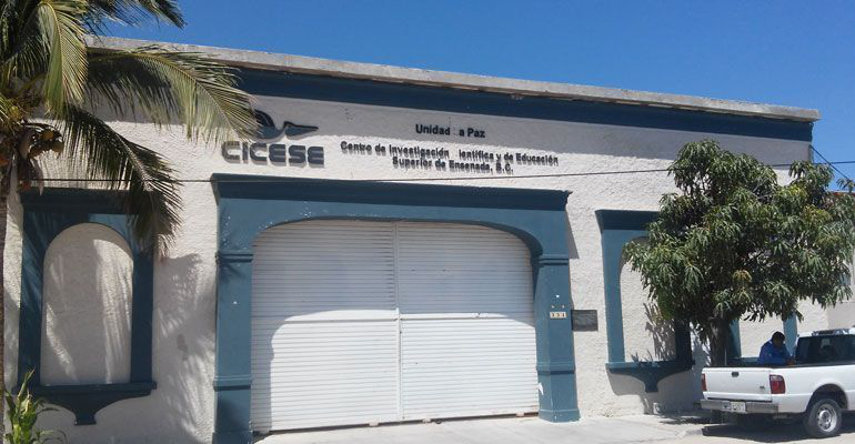 Se consolida el CICESE como institución generadora de conocimiento académico a nivel internacional