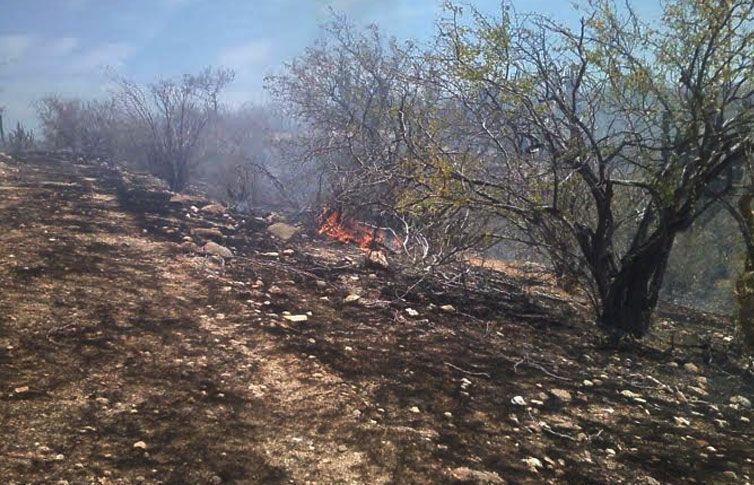 Autoridades revelan existencia de piromaniaco que ha provocado incendios en pastizales