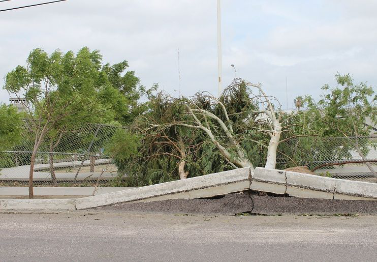 Se realiza en Los Cabos Reunión Nacional de Huracanes 2015