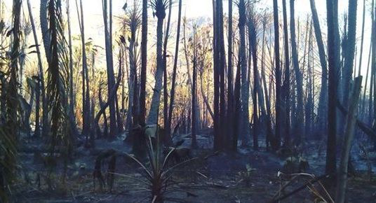 Abren centro de acopio en Los Cabos para ayudar a familias afectadas por incendio en Comundú