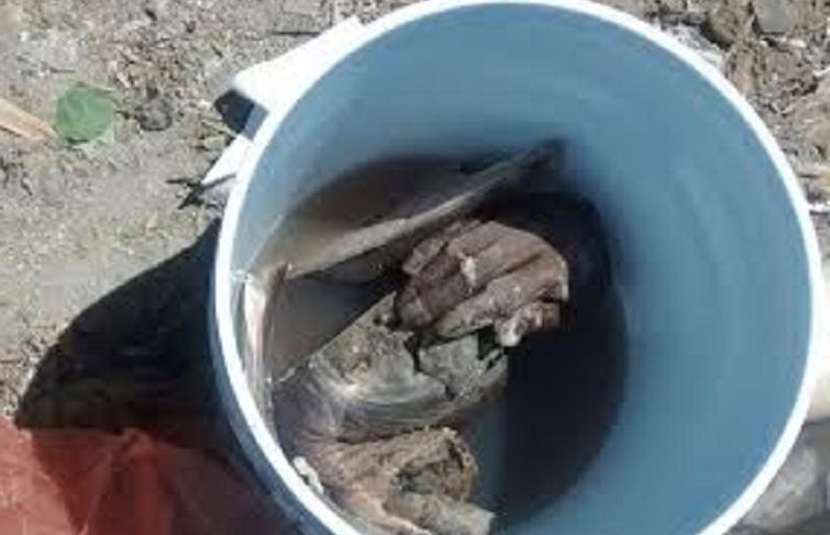 El brazo encontrado en la basura no era de una ejecución, era un desecho médico: PGJE