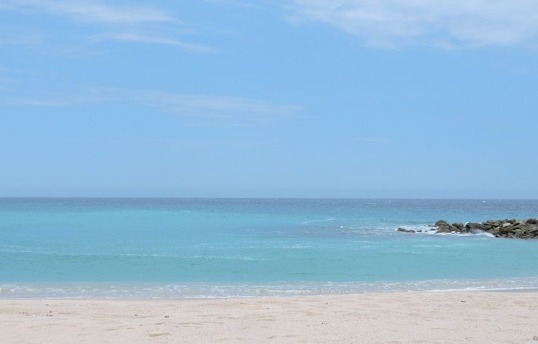 COEPRIS califica de excelente la calidad del agua de las playas de Los Cabos