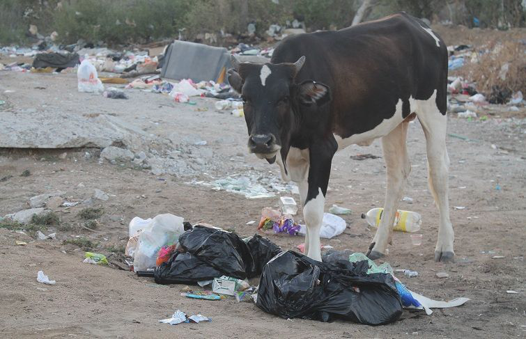 Persisten las quejas de vecinos de Puerto Nuevo por mal servicio en recolección de basura