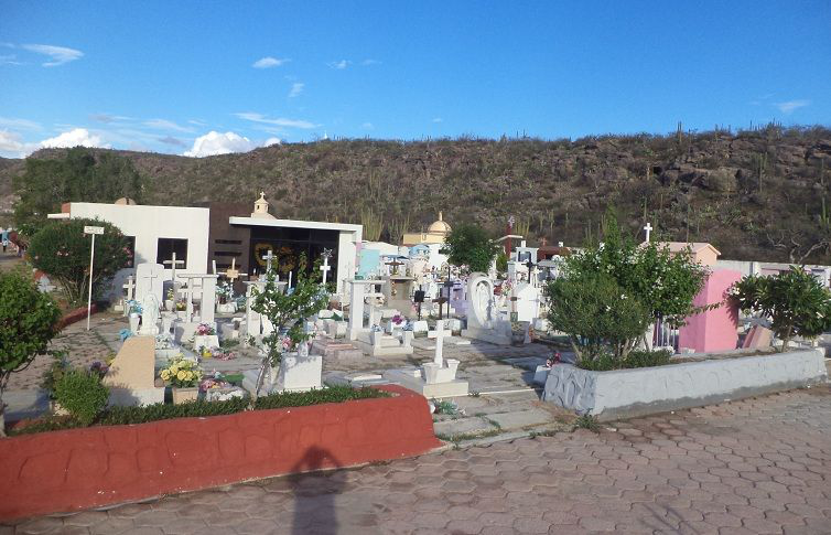 Coronas de flores para los muertos, negocio del reciclaje para los “vivos” de las florerías