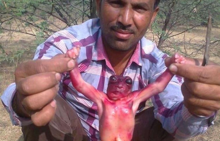 Encuentran supuesto bebé alienígena en la India