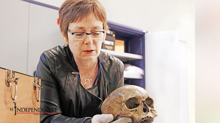 Exhibirán cráneo de Descartes