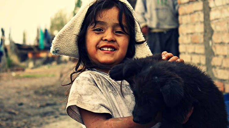 Perra amamanta a bebé desnutrido y le salva la vida, en Chile