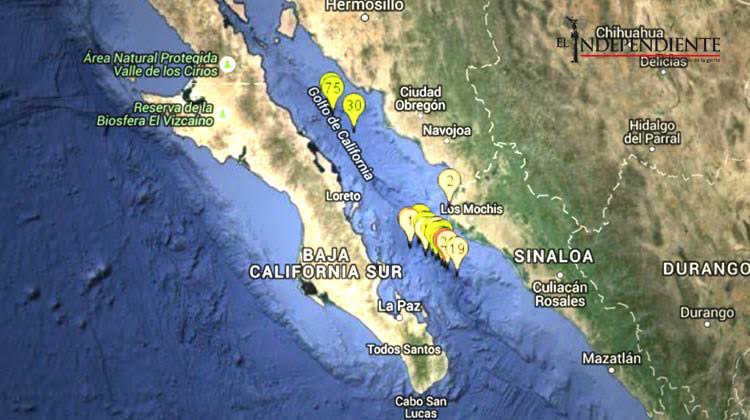 Escalerilla de sismos sacudieron el Golfo de California
