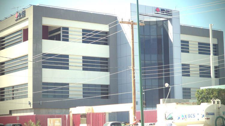 El INE sentará las bases para que el Partido Humanista pueda erigirse como partido estatal