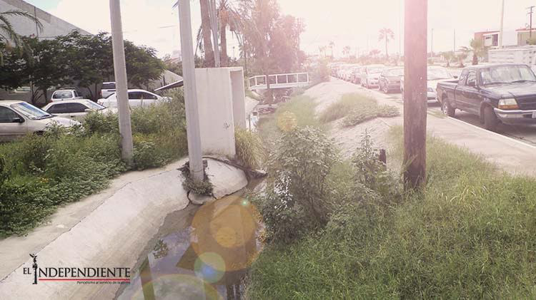 Descargan las aguas negras en la bahía, provocando una gran contaminación