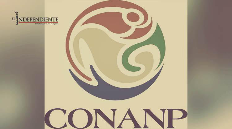 Llevan un mes sin paga trabajadores de la CONANP; trabajan bajo protesta