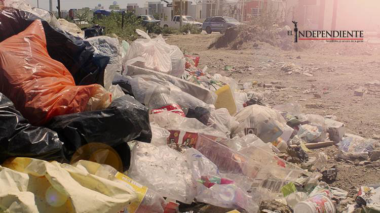 Denuncia ciudadana: sigue irregular el servicio de recolección de basura en Puerto Nuevo