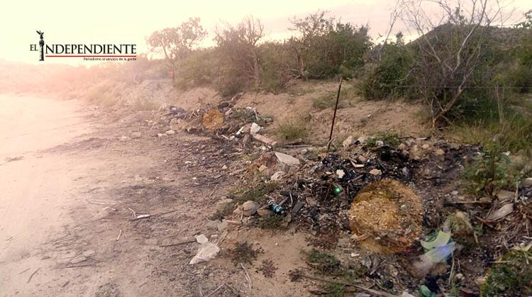Más de 3 toneladas de basura recolecta Servicios Públicos de basurero clandestino