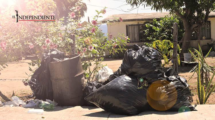 Convocarán  el Ayuntamiento a los cabeños a jornadas de limpieza