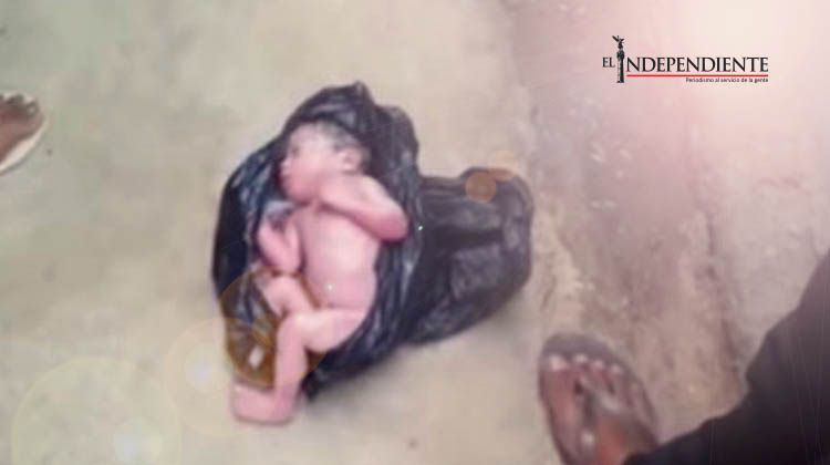 Encuentran a un recién nacido vivo dentro de una bolsa negra para basura