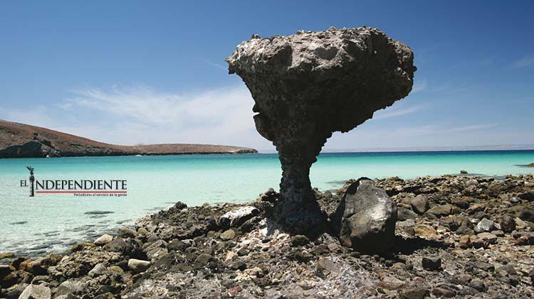 Darán mayor impulso al turismo de Los Cabos; La Paz y Loreto también serán beneficiadas