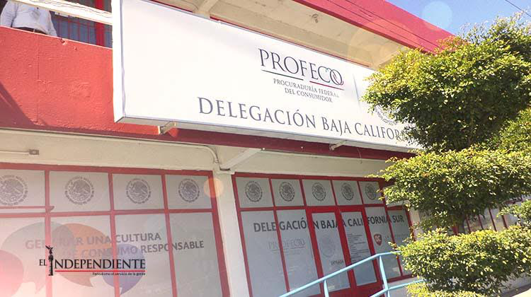 Alista la PROFECO brigadas y operativos para vigilar “El Buen Fin”