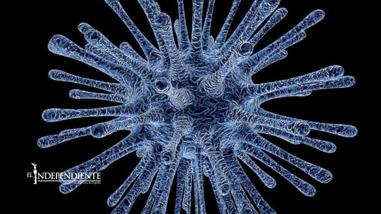 ¿Cuál es la diferencia entre tener VIH y haber contraído el SIDA?