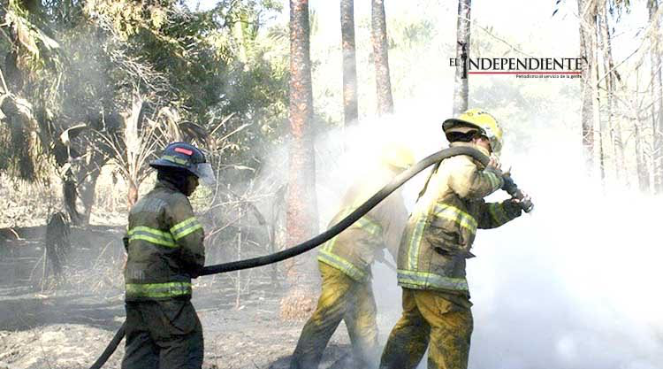 Para el 2016 se creará la Asociación Estatal de Bomberos