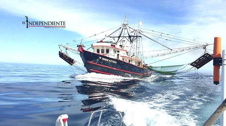 Pescadores de la Pacífico Norte amenazan con incendiar barcos